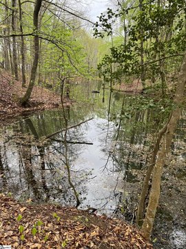 Simpsonville Homesite with Creek