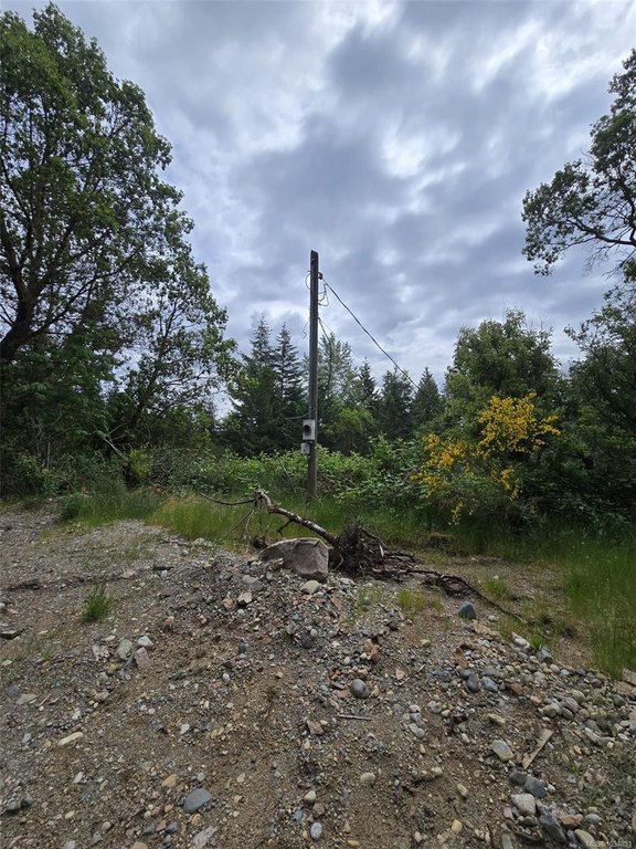 Picture 16