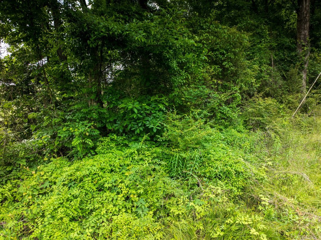 Picture 23