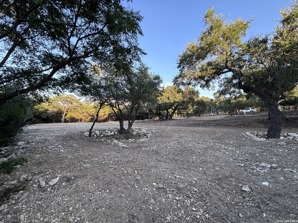 Picture 13