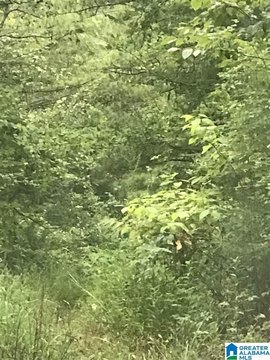 Land Overlooking Golf Course Fairway
