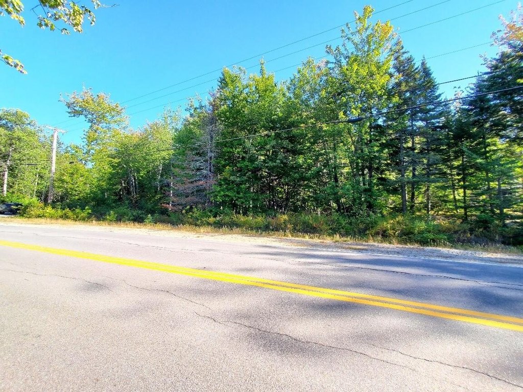 Picture 3