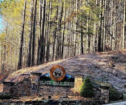 Ellijay Vacant Lot Ready to Build