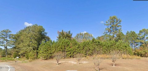 Commercial Land in Newton, MS