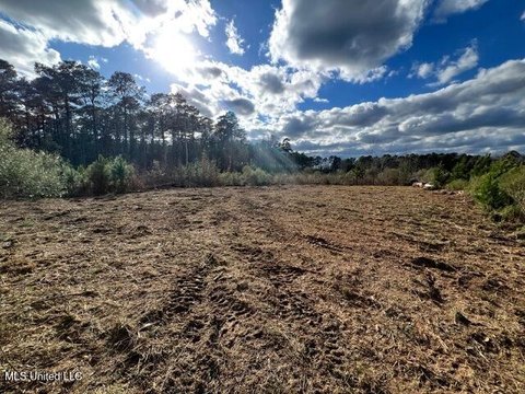 Amite County Land For Sale