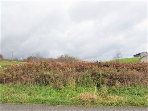 Land Near Rural Retreat Lake