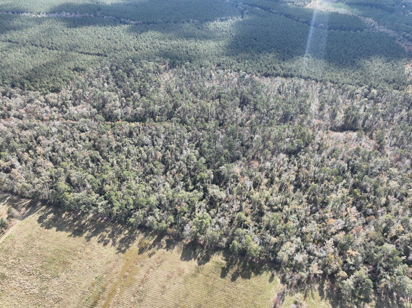 80 Acres Vacant Land