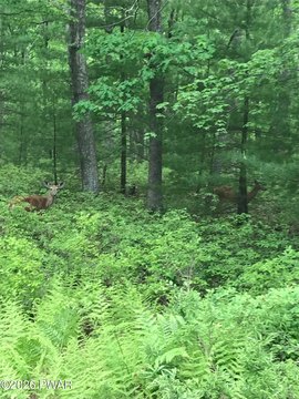 Land, Dingmans Ferry, PA