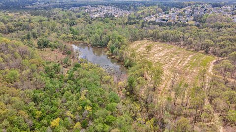 Waterfront Hunting Tract with River Frontage