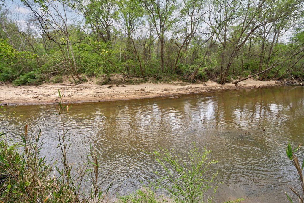 Picture 34