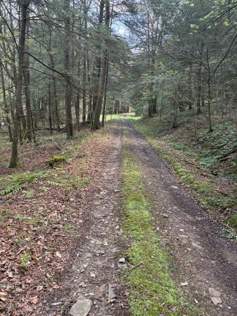 Picture 4
