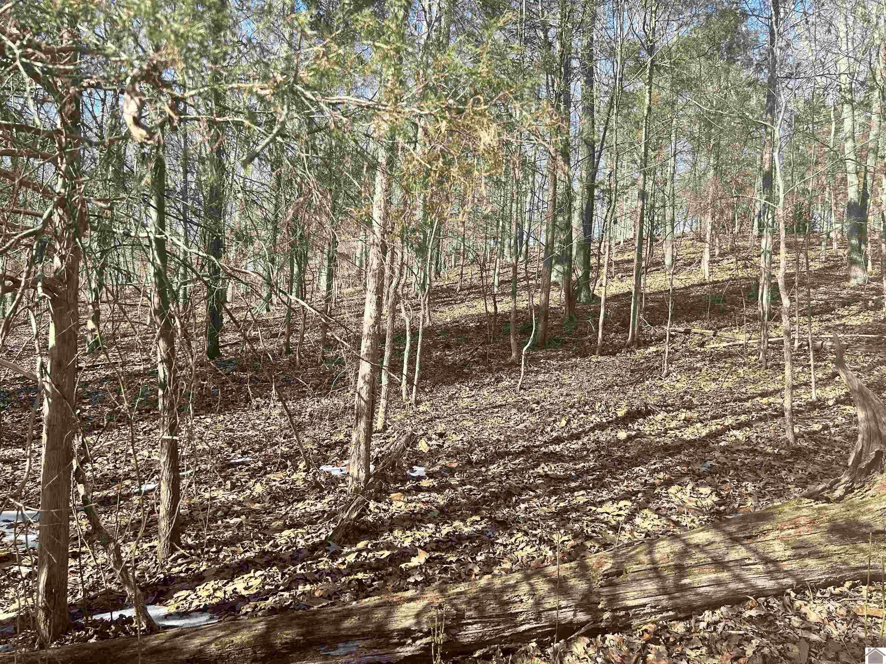 Lake View Residential Lots