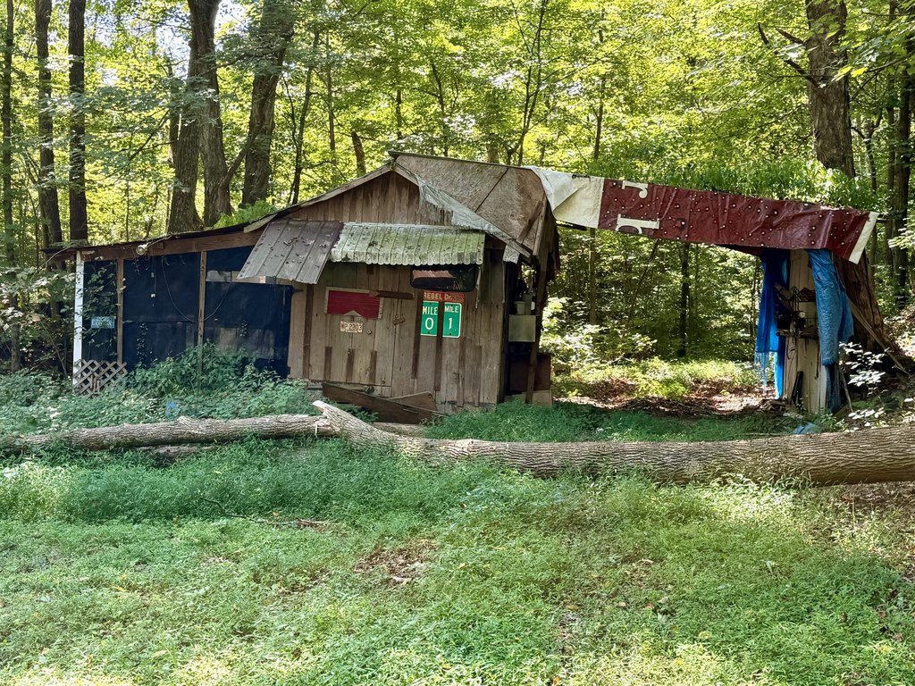 Picture 4
