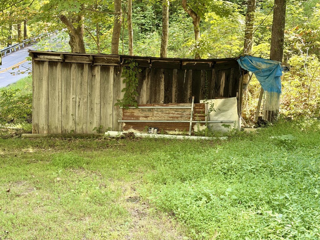 Picture 5
