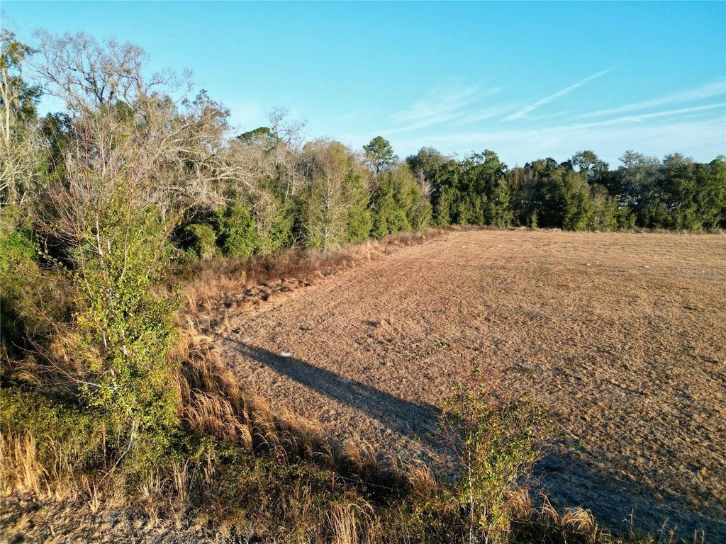Picture 12