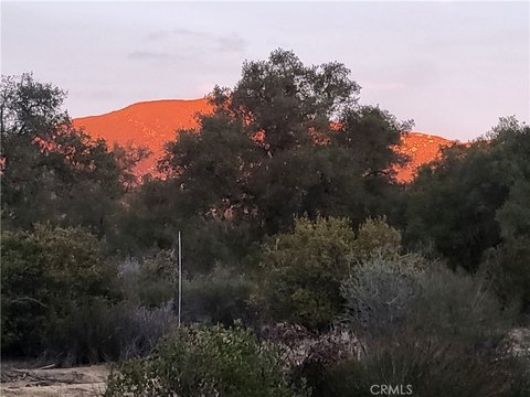 20 Acres in Benton Oaks