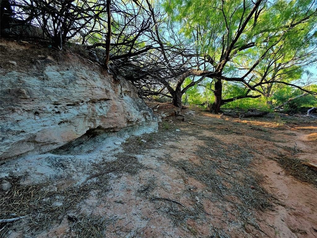 Picture 11