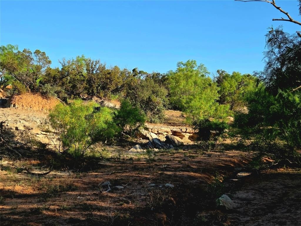 Picture 15