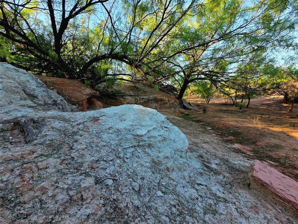 Picture 20