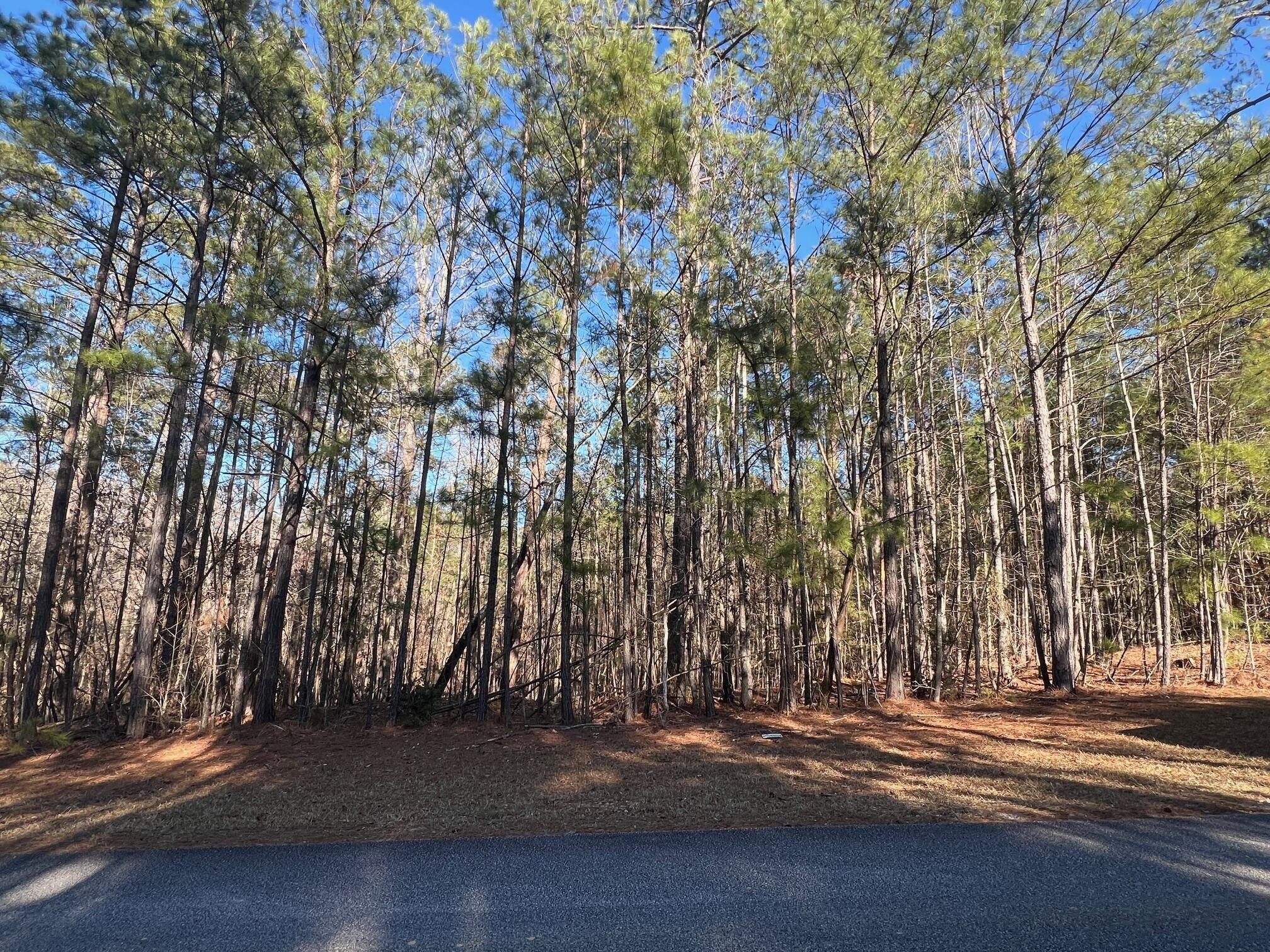 Residential Lot Near Golf Course