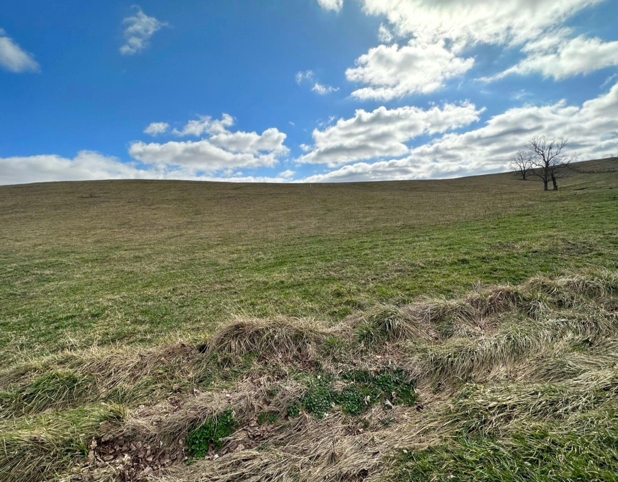 Cynthiana, KY Land Parcel