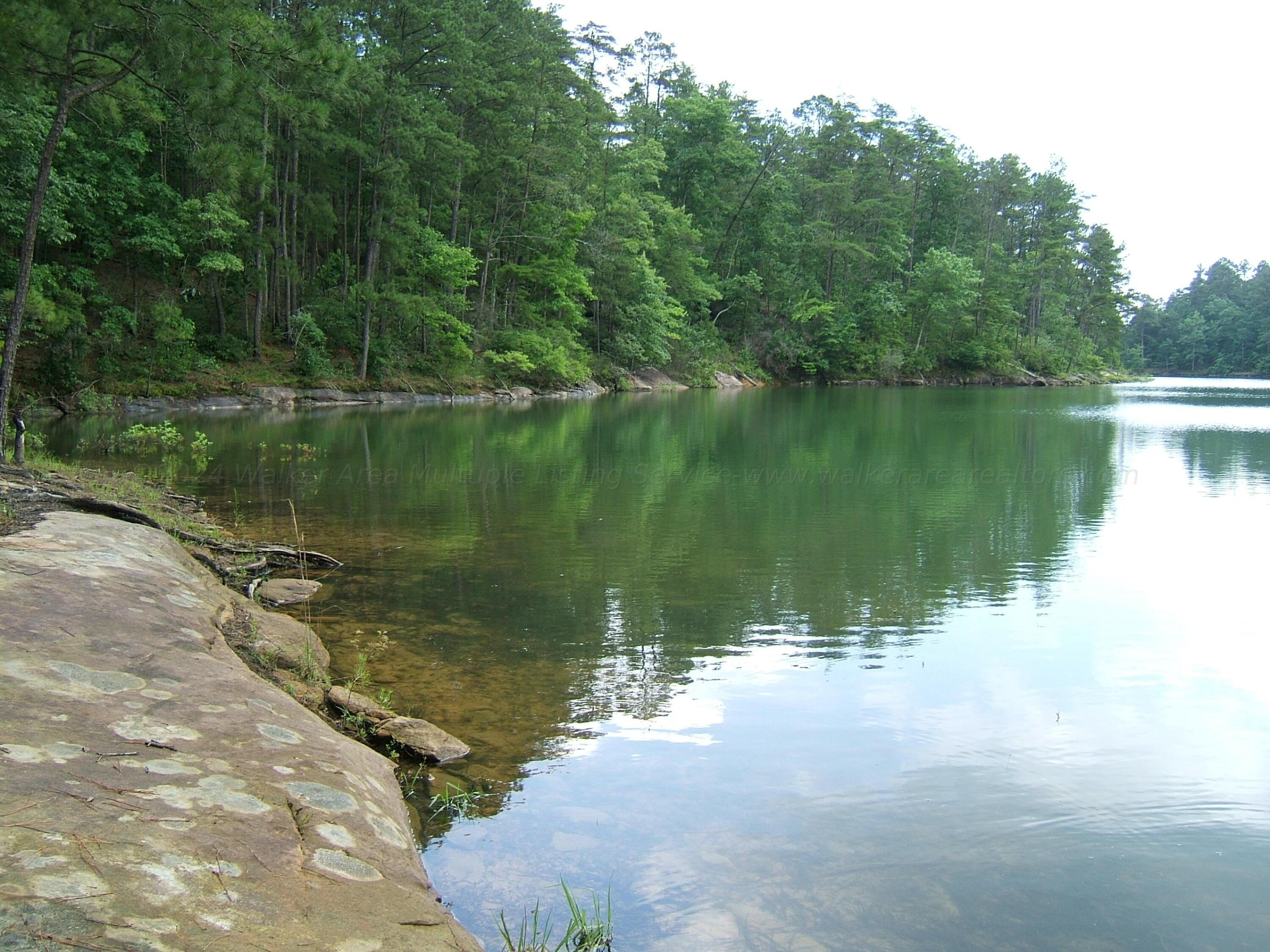 Waterfront Land in Double Springs