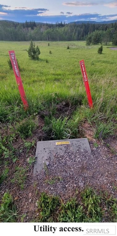Picture 21