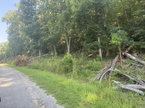 Land, Waynesboro, TN