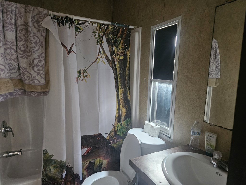 Picture 5