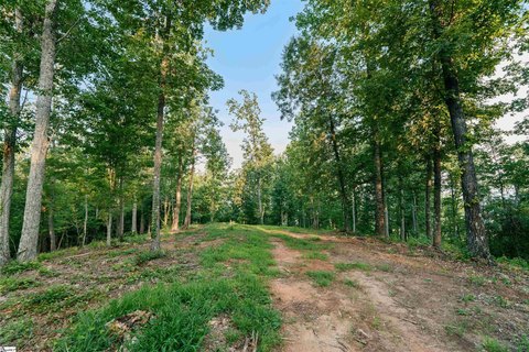 Lots/Land, Travelers Rest, SC