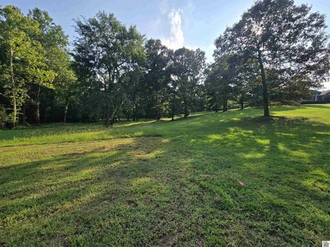 LAND - Benton, KY