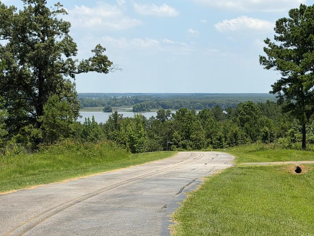 Picture 9