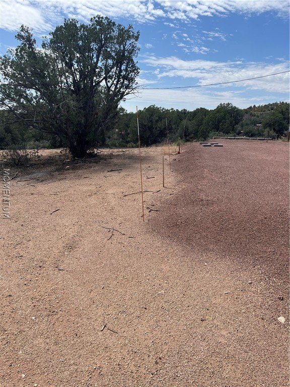 Picture 19