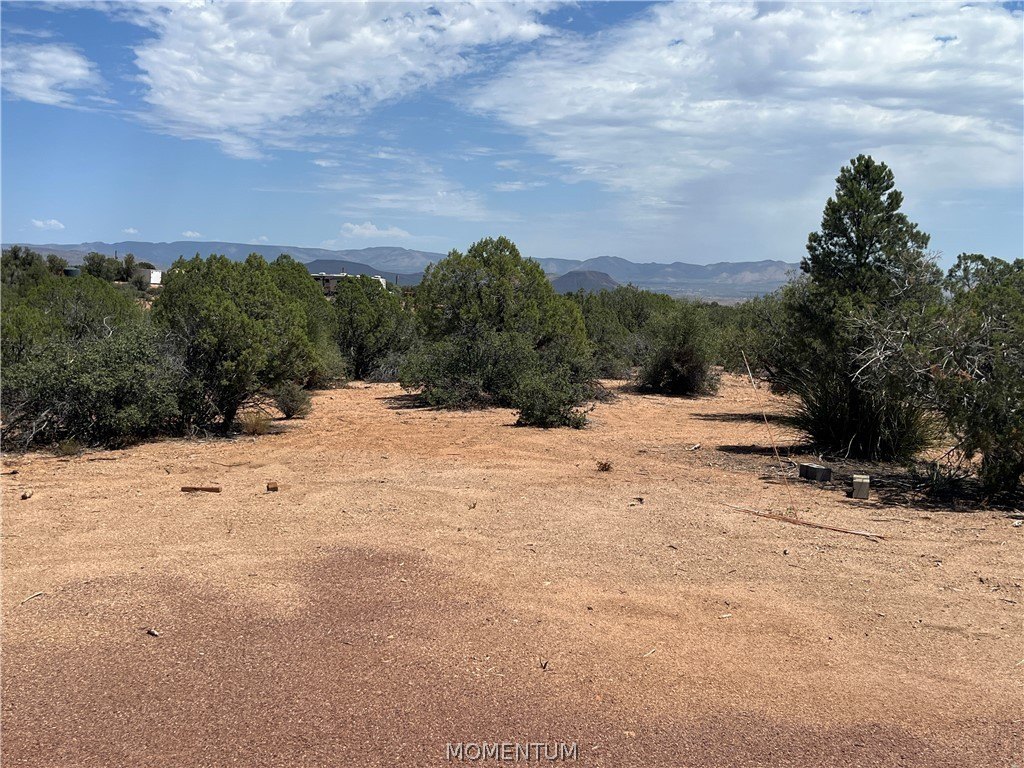 Picture 23