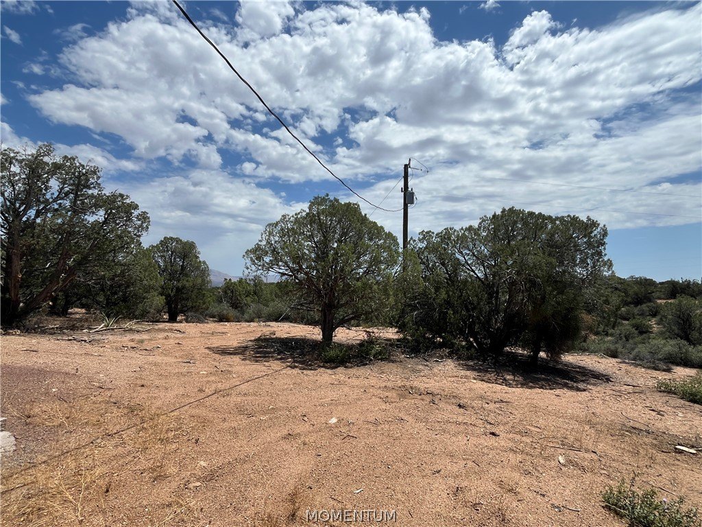 Picture 36