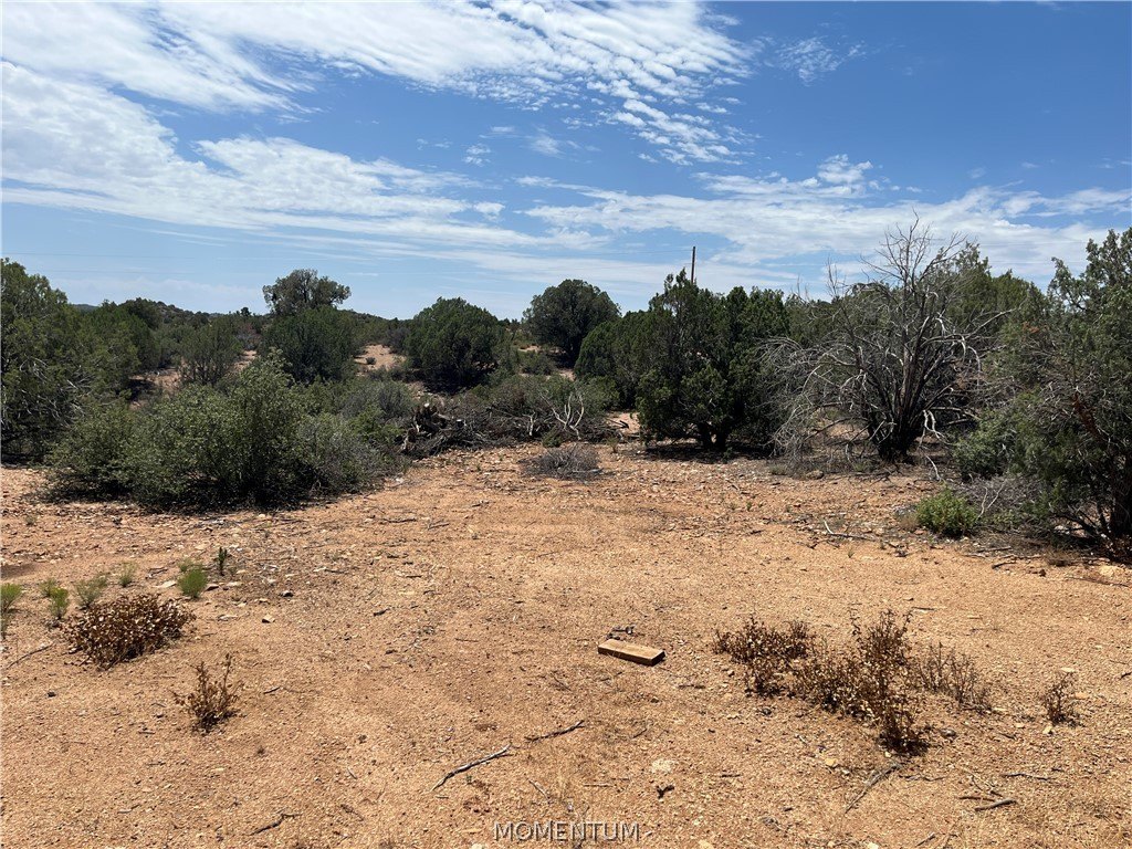 Picture 24
