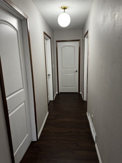 Picture 41