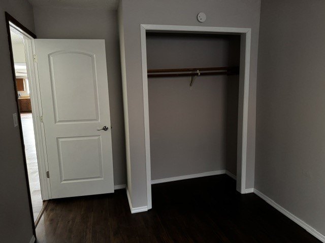Picture 43