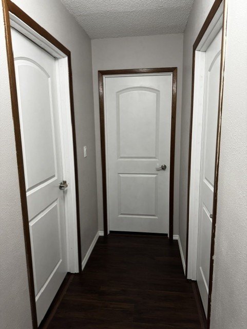 Picture 44
