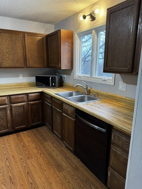 Picture 45