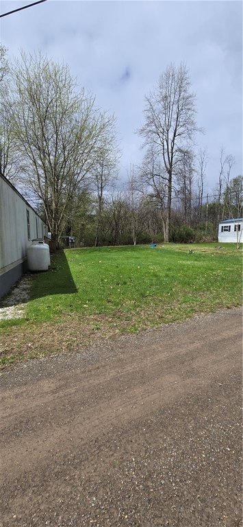 Picture 5