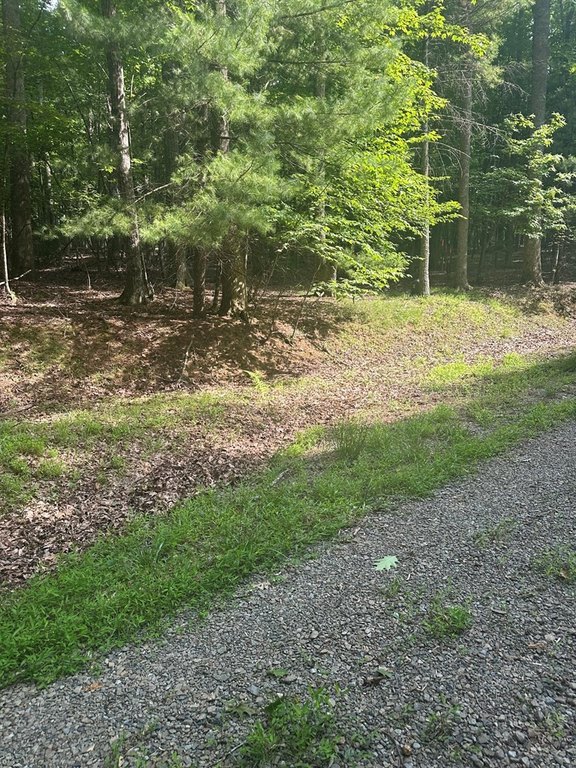 Picture 10