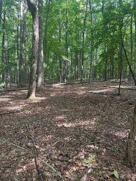 LAND - Galax, VA