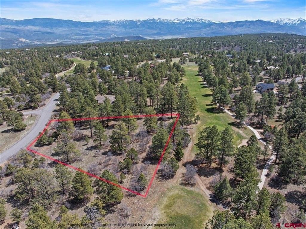Ridgway, CO Land For Sale