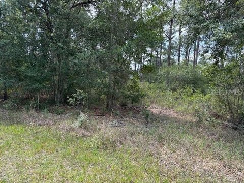 Residential Lot in Lake Community