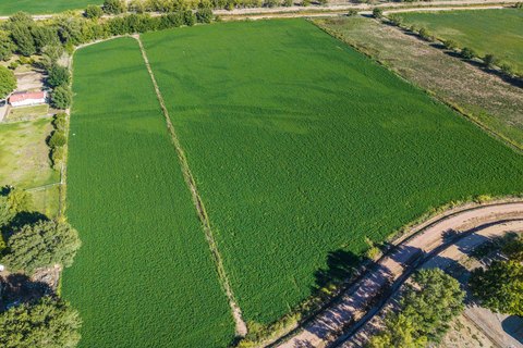 Tome, NM Agricultural Land
