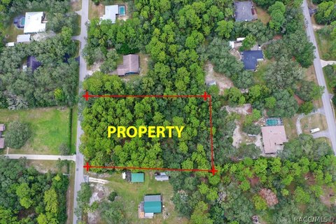 Land, Homosassa, FL
