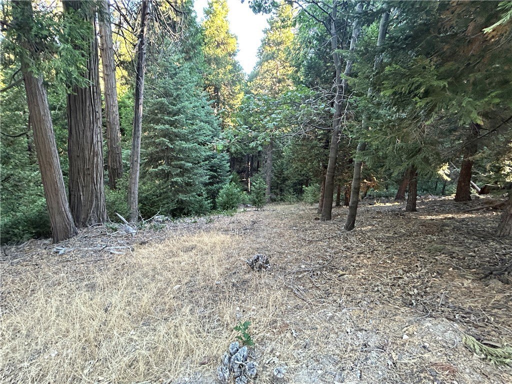 Picture 4