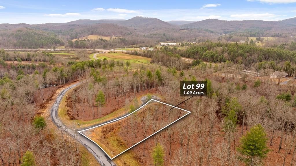 Morganton, GA Vacant Lot