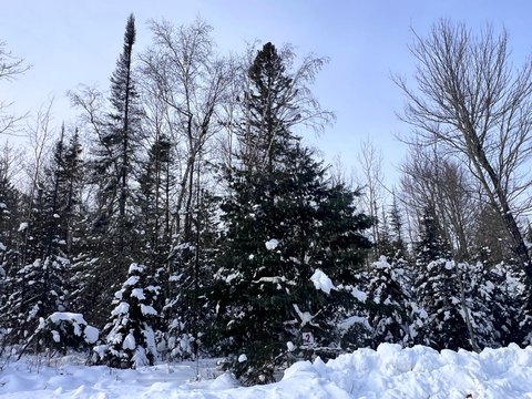 Eagle River Acreage Ready to Build